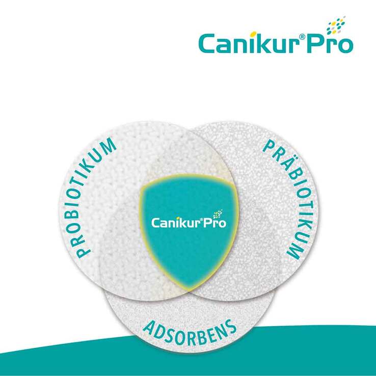 Canikur Pro vet. Paste, 60 ml