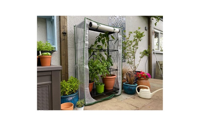 Gewächshaus »Colibri Multiflex 3 mit PE Folie 71.5 x 34 x 87 cm«