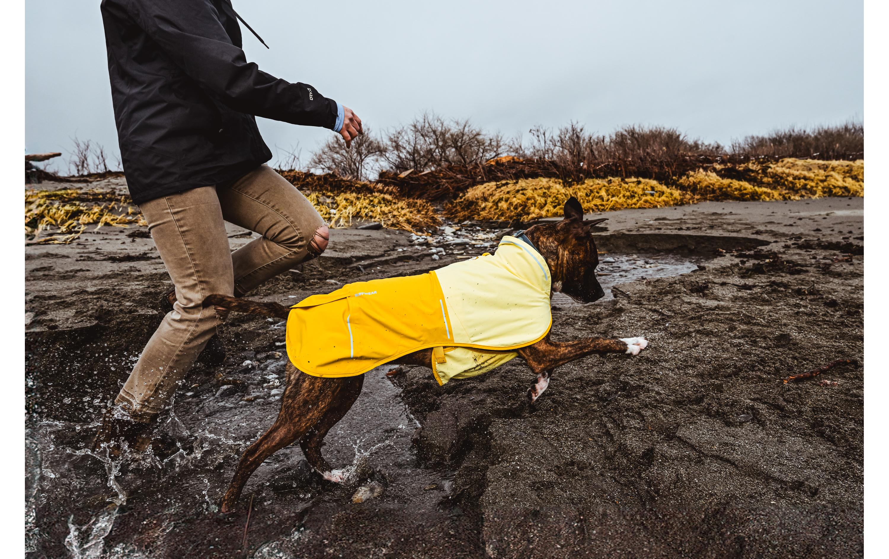 Regenmantel Sun Shower Jacket Gelb, SHunde Regenmantel