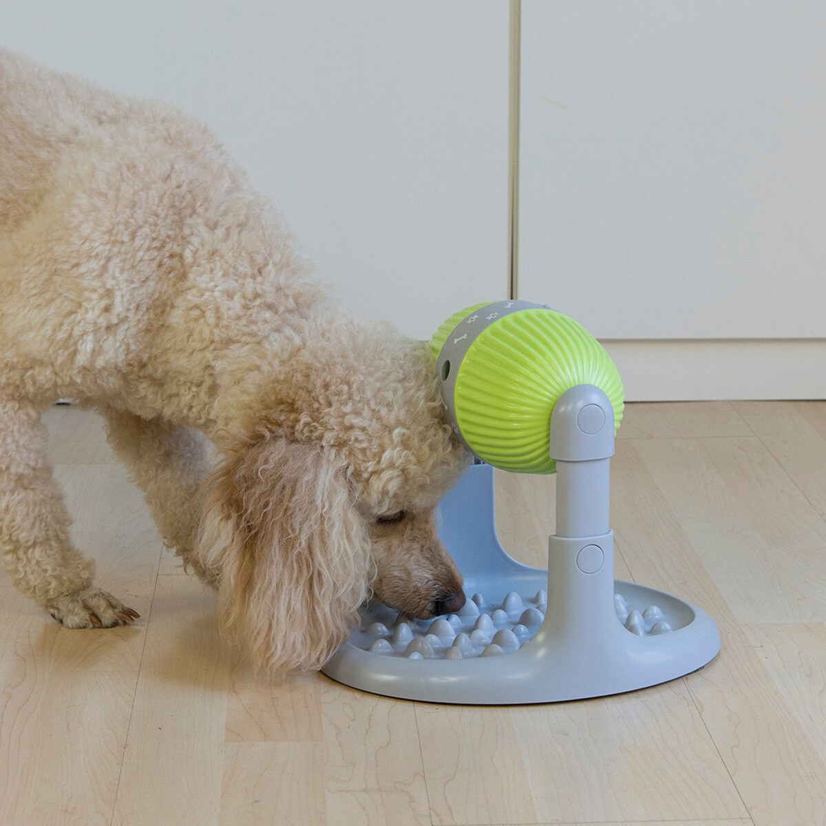 Best Direct® Hunde Futternapf - langsame Fütterung - Hundenapf Pet Slow Feeder