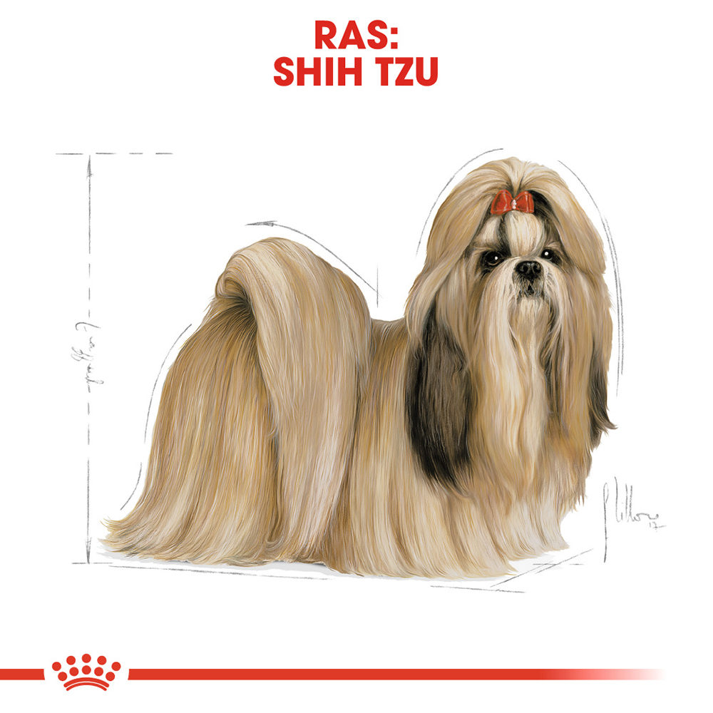 Royal Canin Shih Tzu Adult - Hondenvoer