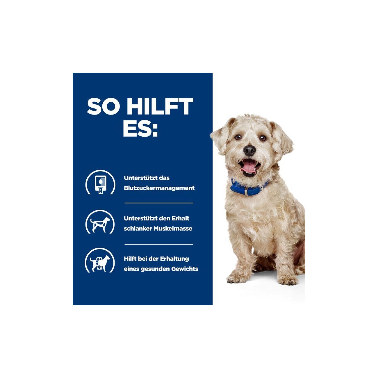 Hill's Prescription Diet w/d Futter bei Diabetes, mit Huhn 10 kg