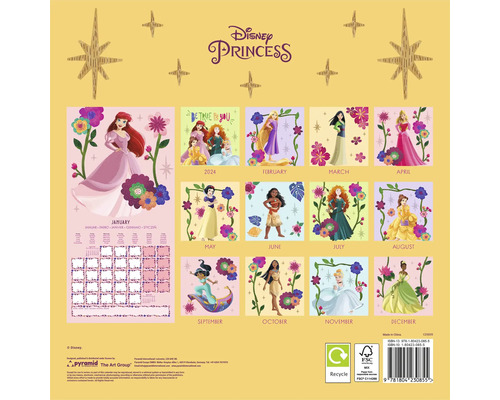 Disney Princess wandkalender 2025, 30x30 cm