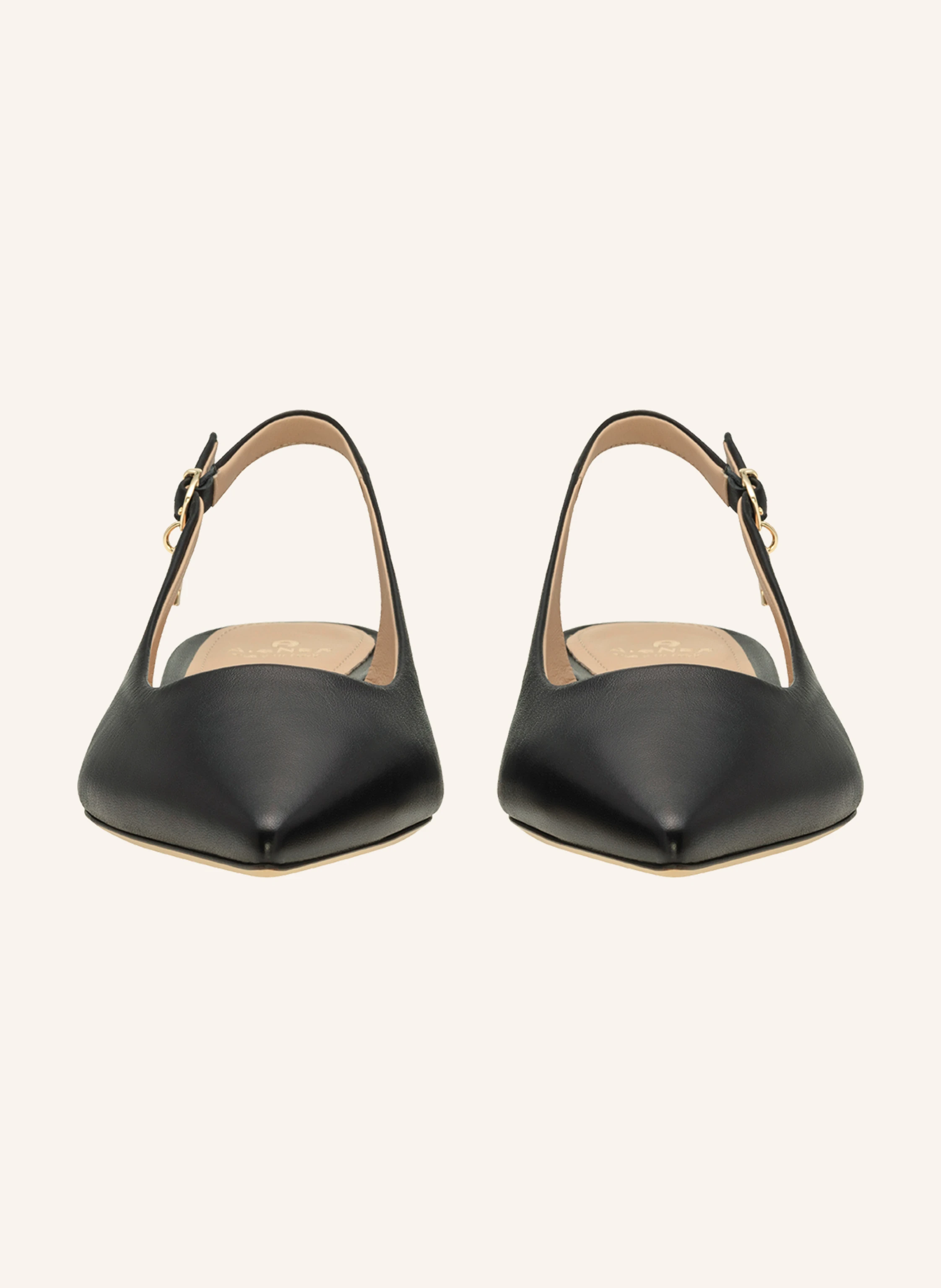 AIGNER Pumps ALINA 4F