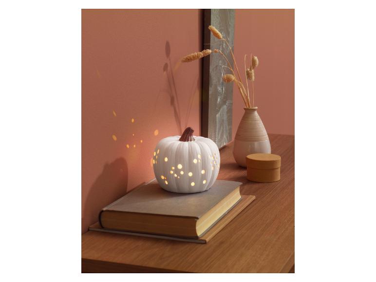 Herfst decoratie met LED