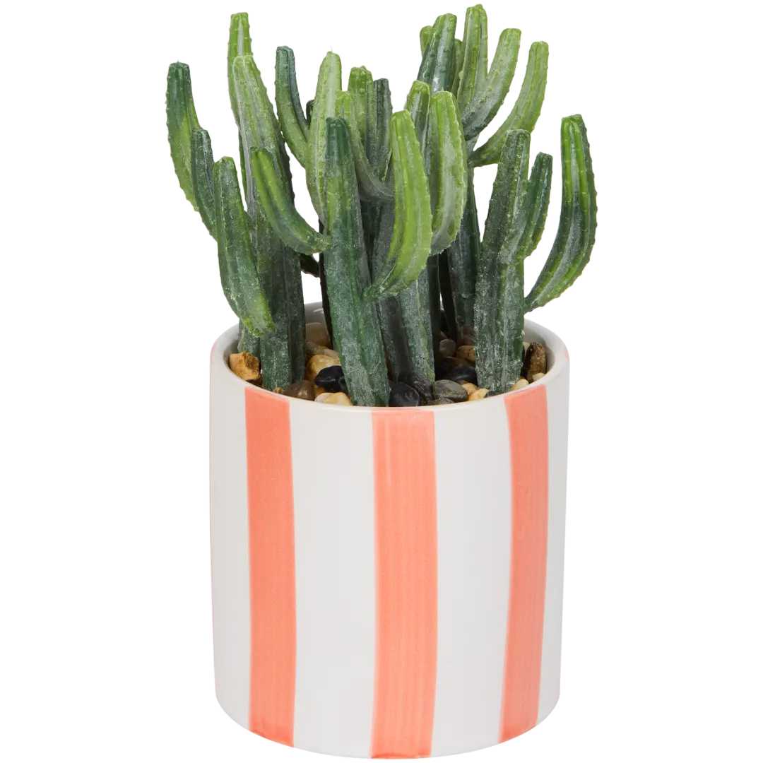 Plante grasse artificielle en pot