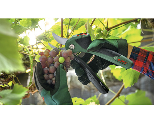 BOSCH EasyPrune accu-tuinschaar inclusief oplaadkabel