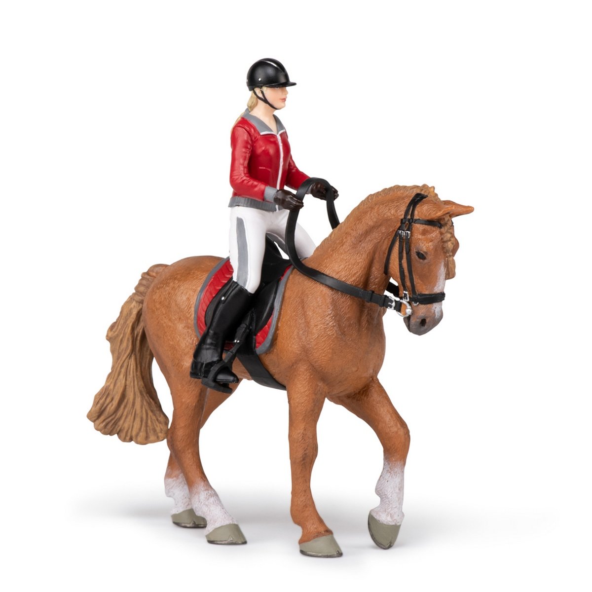Cheval de promenade et sa cavalière