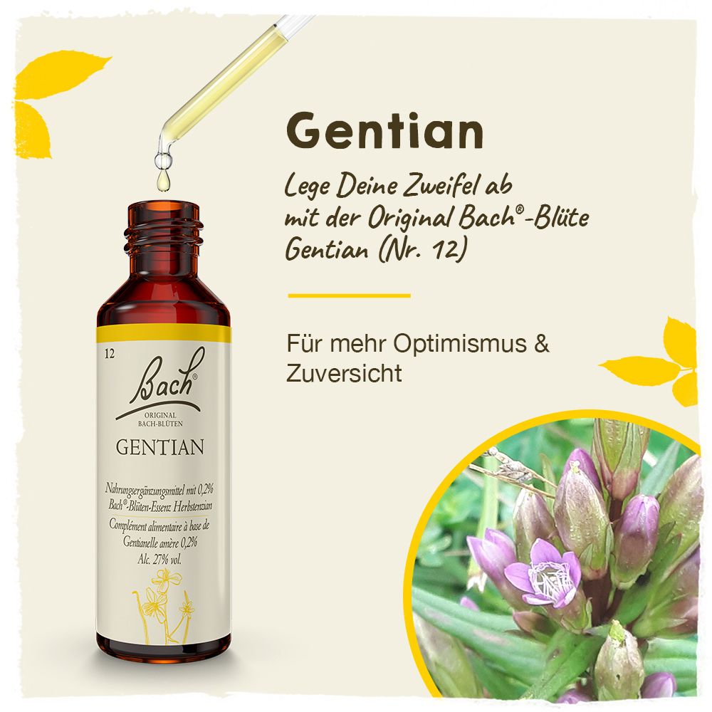 BACH®-BLÜTE GENTIAN (Herbstenzian)