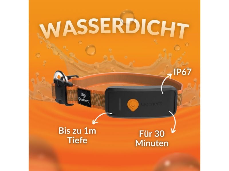 Weenect GPS-Tracker für Hunde XT mit Halsband orange Verstellbares Halsband mit Tracking-Funktion