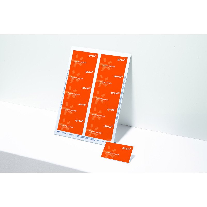 Inserts microperforés Avery L7418 pour badge 55 x 86 mm - Boîte de 200