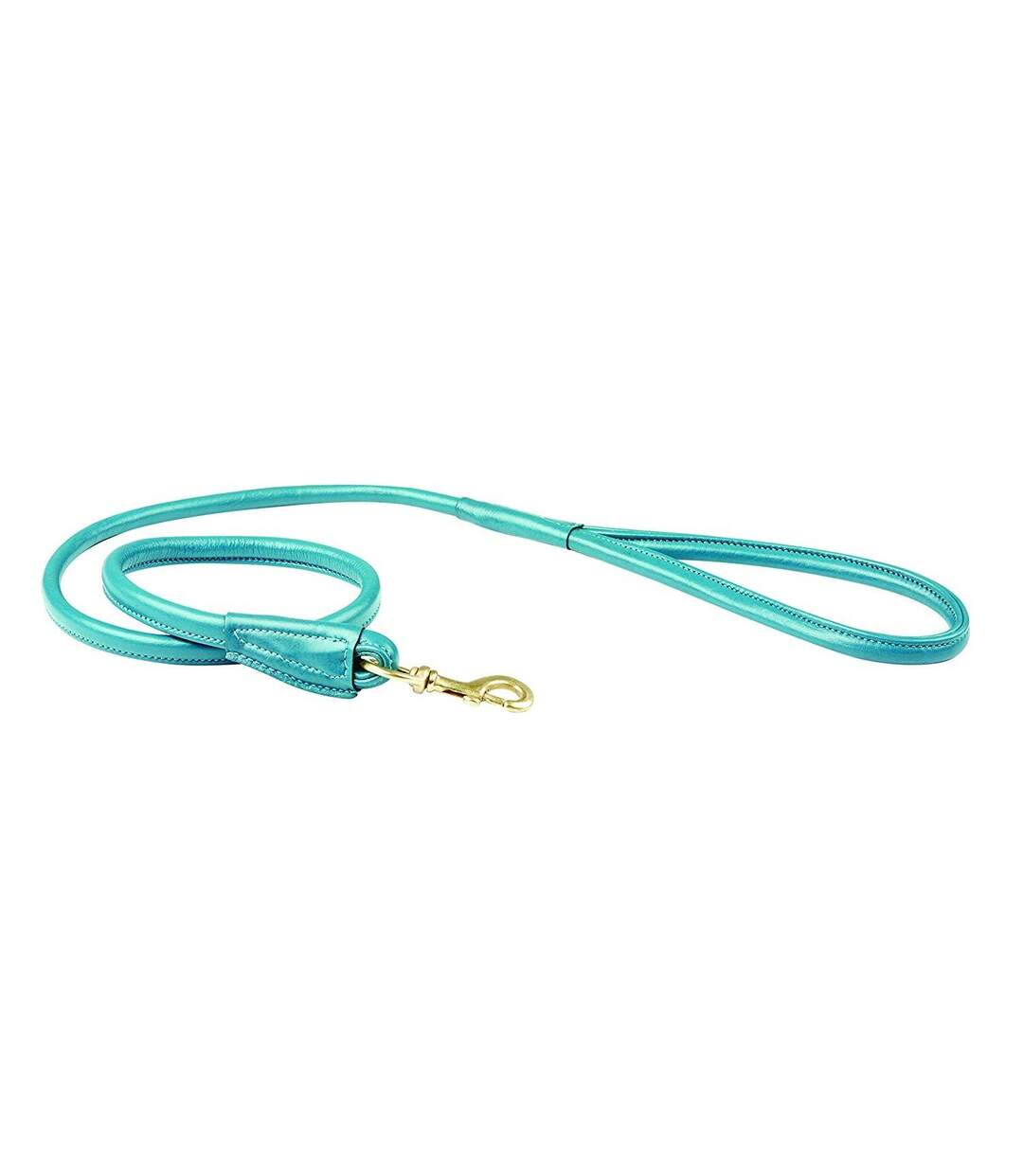 Weatherbeeta - Laisse de chien (Bleu sarcelle) (Taille unique) - UTWB1257