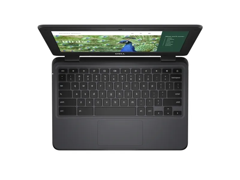 Dell Chromebook 3120 (2024) - Intel N-series - N100 / op til 3.4 GHz - Chrome OS - UHD Graphics - 4 GB RAM - 64 GB eMMC - 11.6
