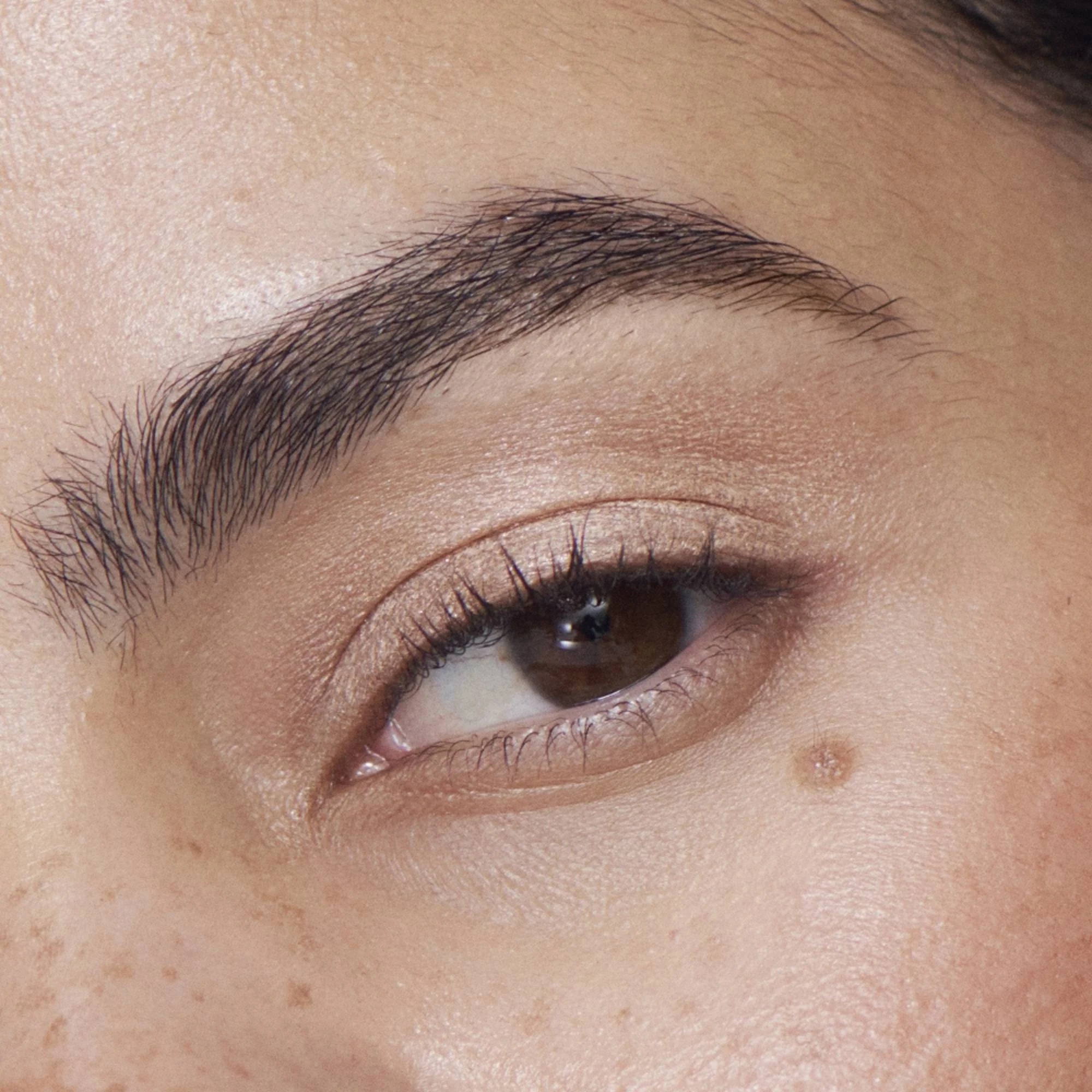 Ilia Liquid Powder Chromatic Eye Tint Fard à Paupières Crème