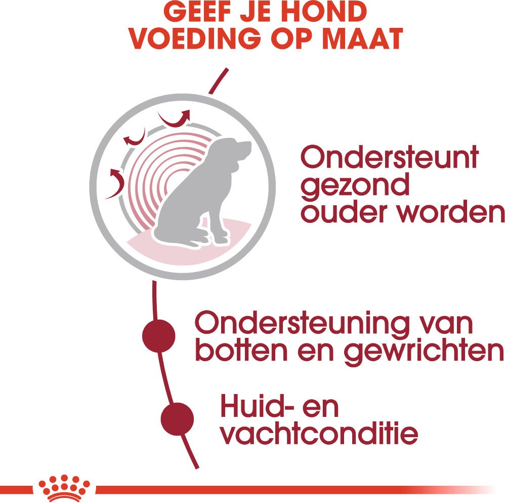 Royal Canin hondenvoer in saus Medium Ageing 140 g 10 stuks