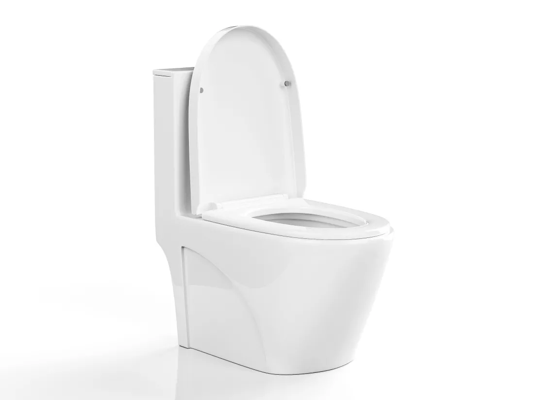 WC à poser blanc brillant en céramique - Evacuation verticale - NAGILAM