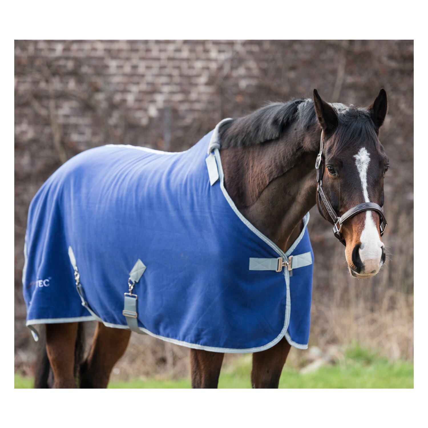 EQUINE-MICROTEC Abschwitzdecke Flanell Touch - twilight blue