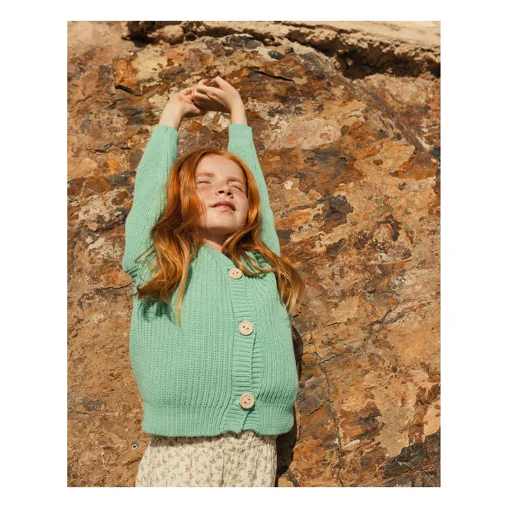 Búho Cardigan Coton Bio | Vert