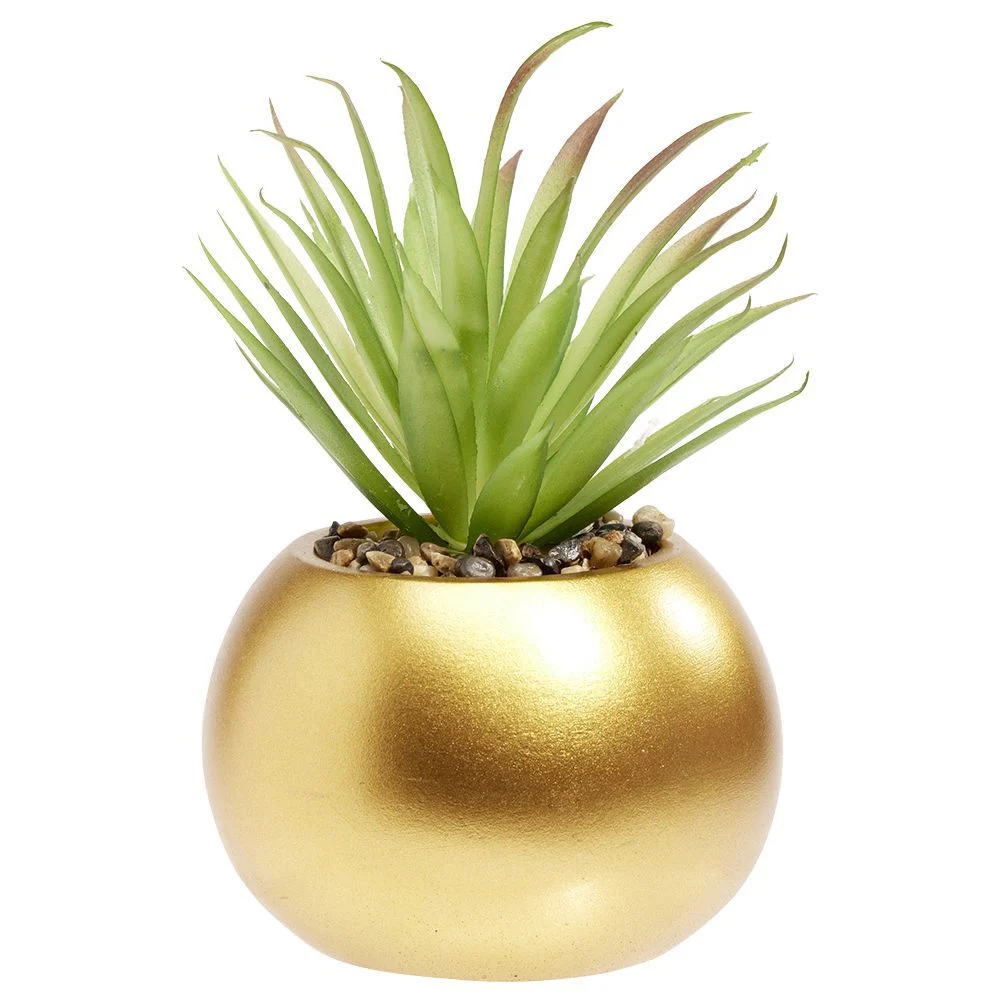 Plante succulente artificielle dans pot doré