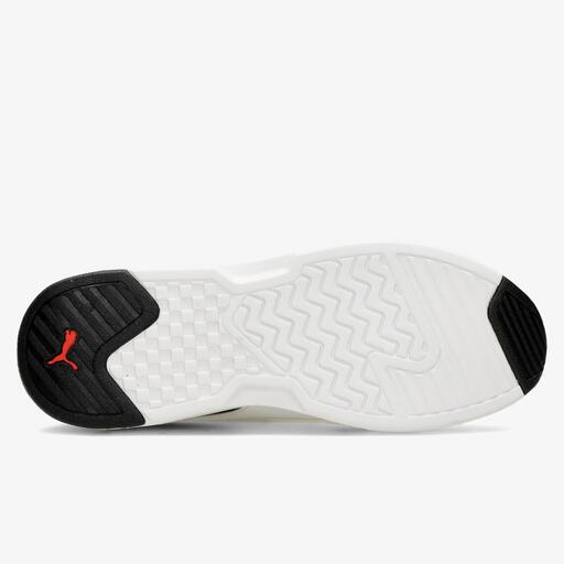 Raio-X do Puma