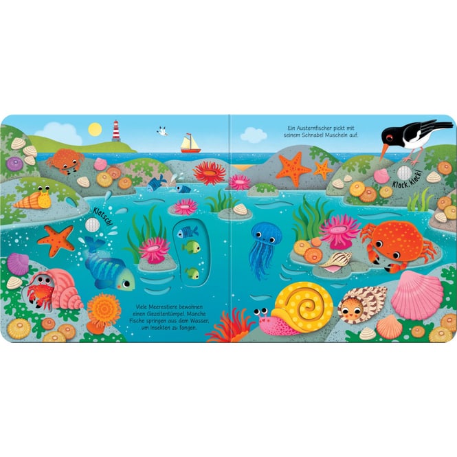 Klänge der Natur - Was hörst du am Meer?