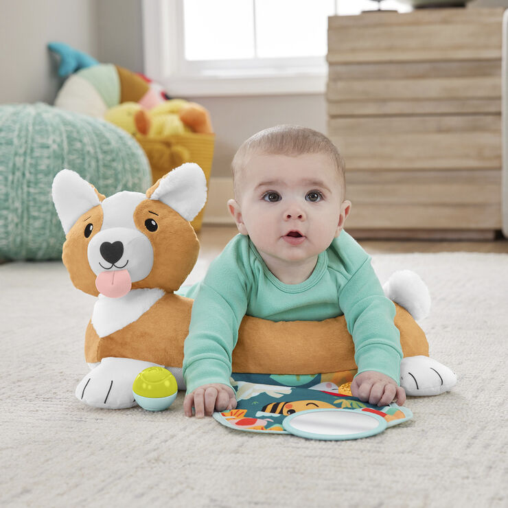 Fisher Price FP 3-1 Puppy tummy wedge