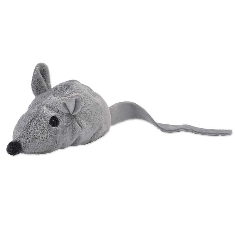 Souris Baldi
