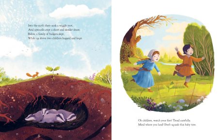 The Oak Tree (Hardback)