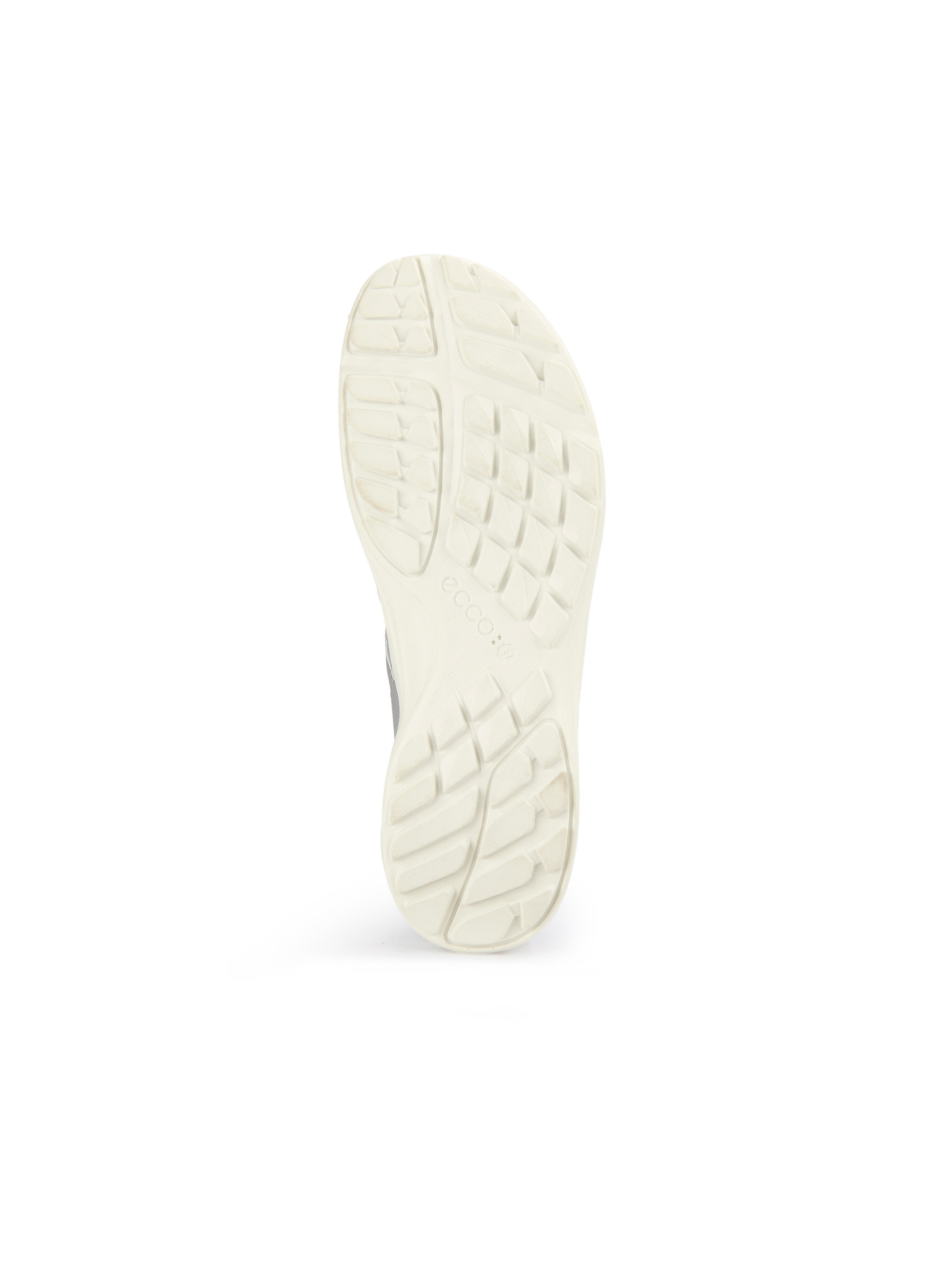 Sneaker Terracruise LT