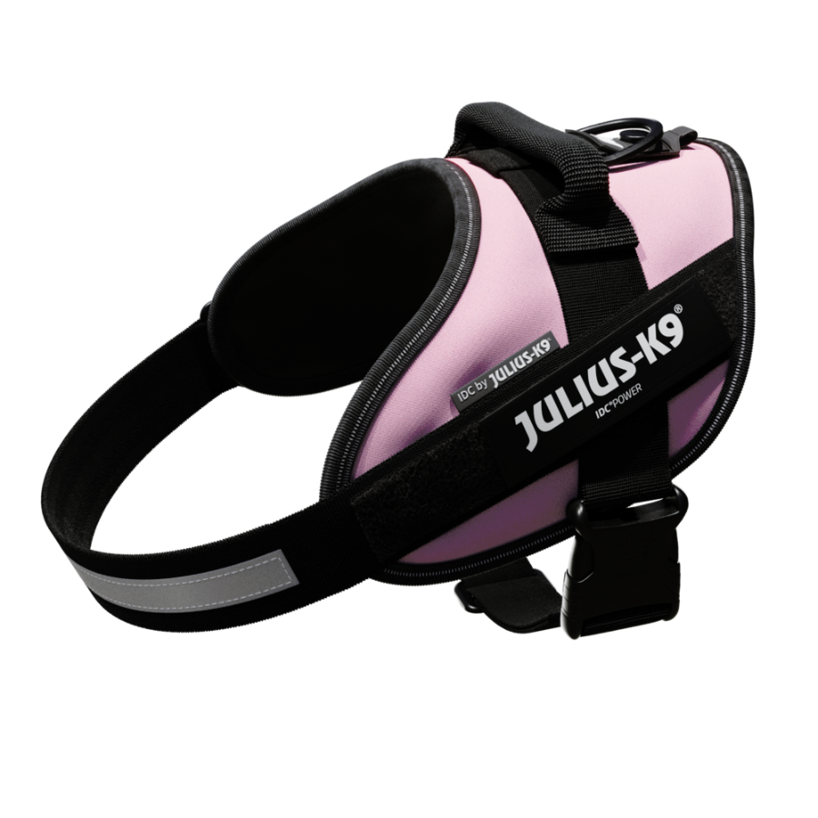 Coleira para cães Julius K9 IDC, rosa