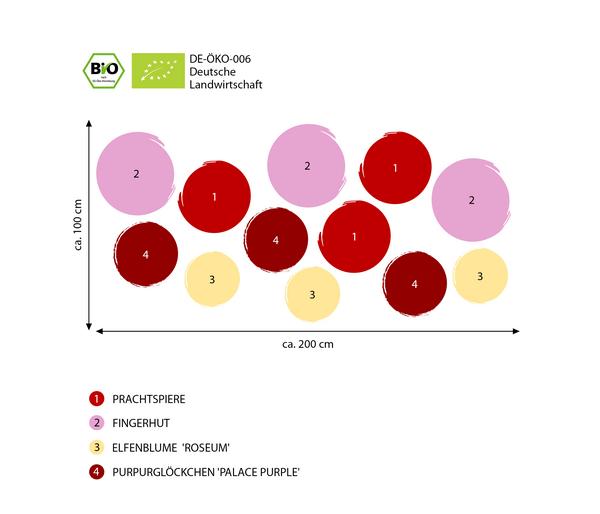 Bio Stauden-Set Schattengarten Rote Akzente,
