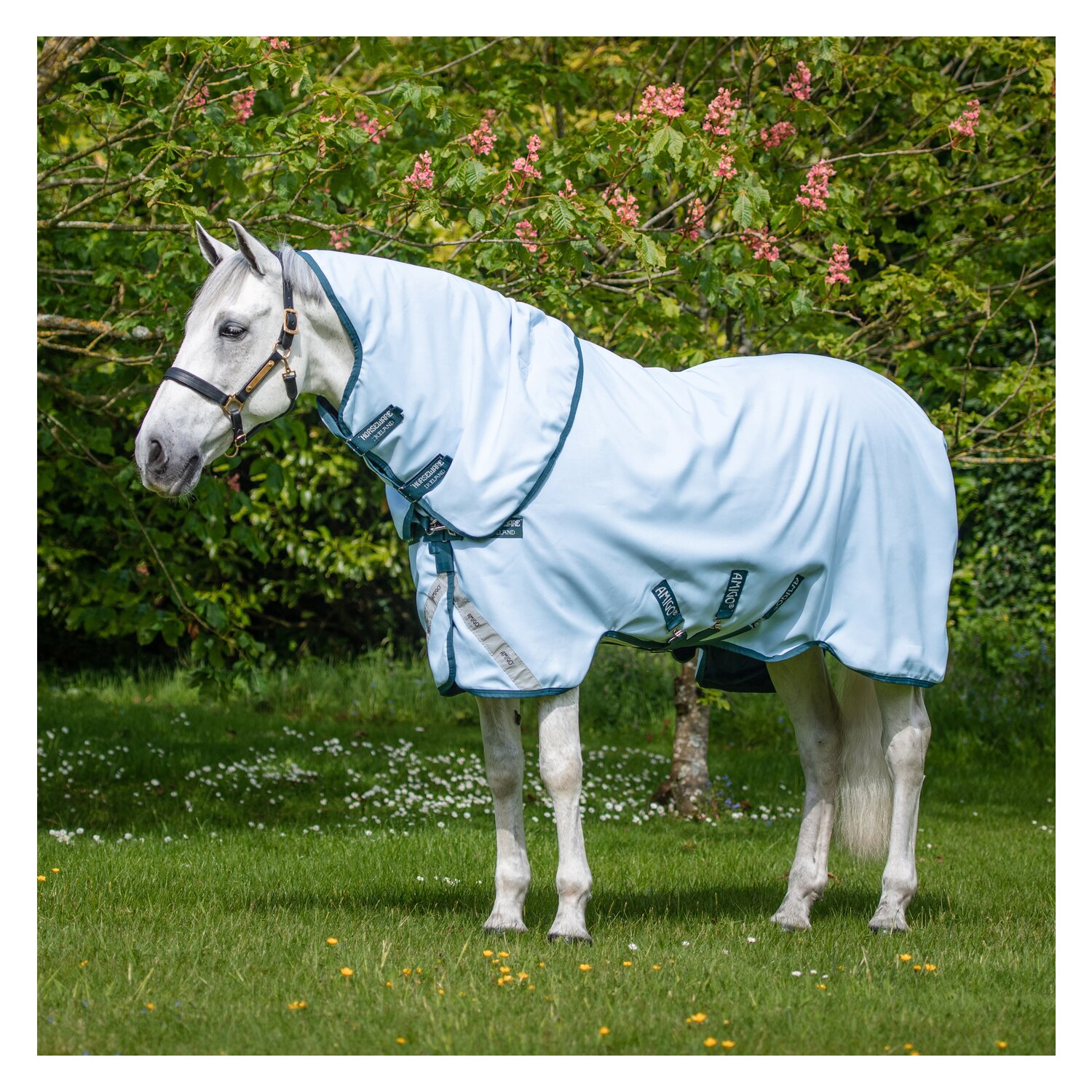 HORSEWARE Weidedecke AMIGO Plant-Dye - blue/navy