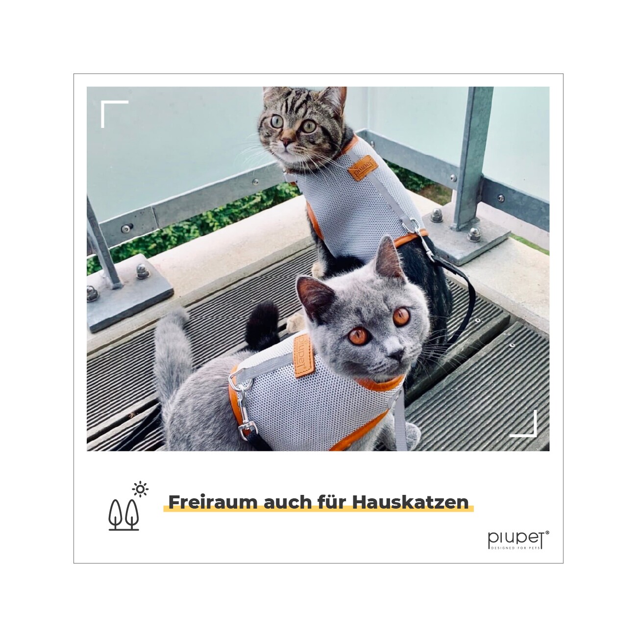 PIUPET Katzengeschirr Fritz grau S