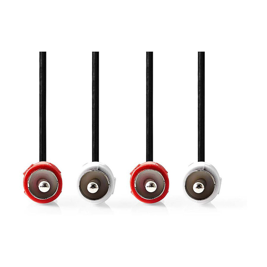 Nedis Câble Audio Stéréo 2x RCA Mâles - 2x RCA Mâles - 1 m