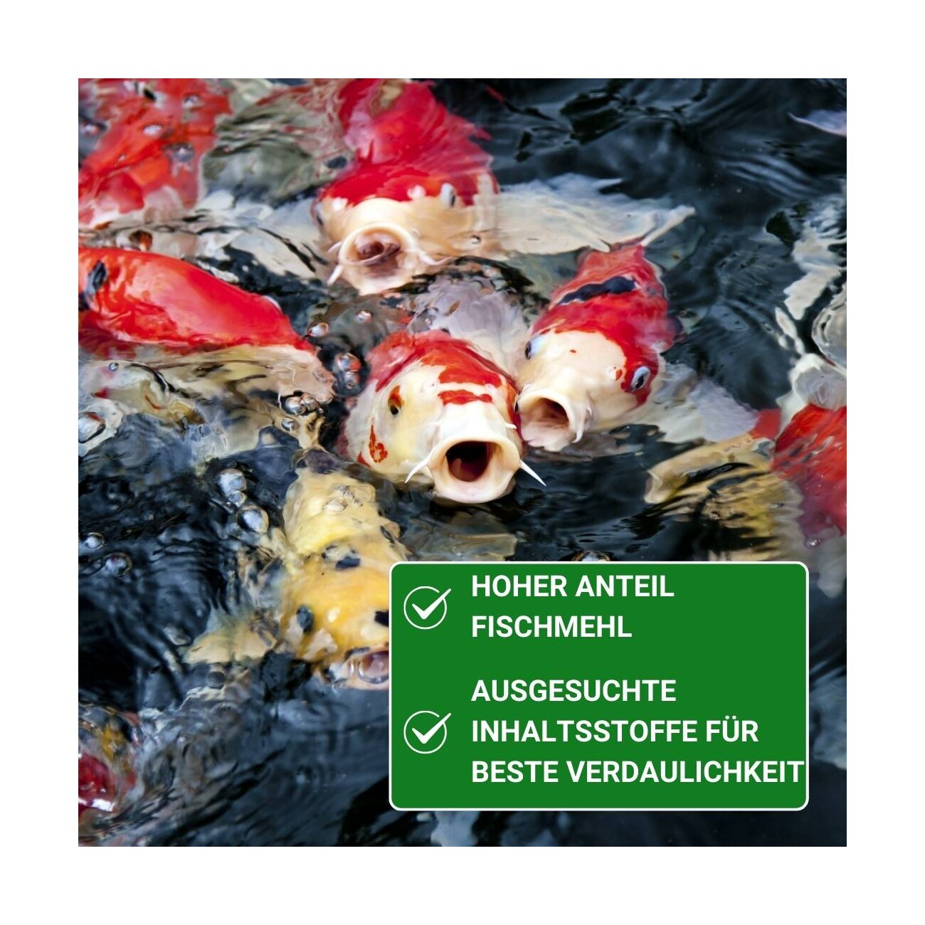 KENKOU COOL-Water 6mm 2 kg