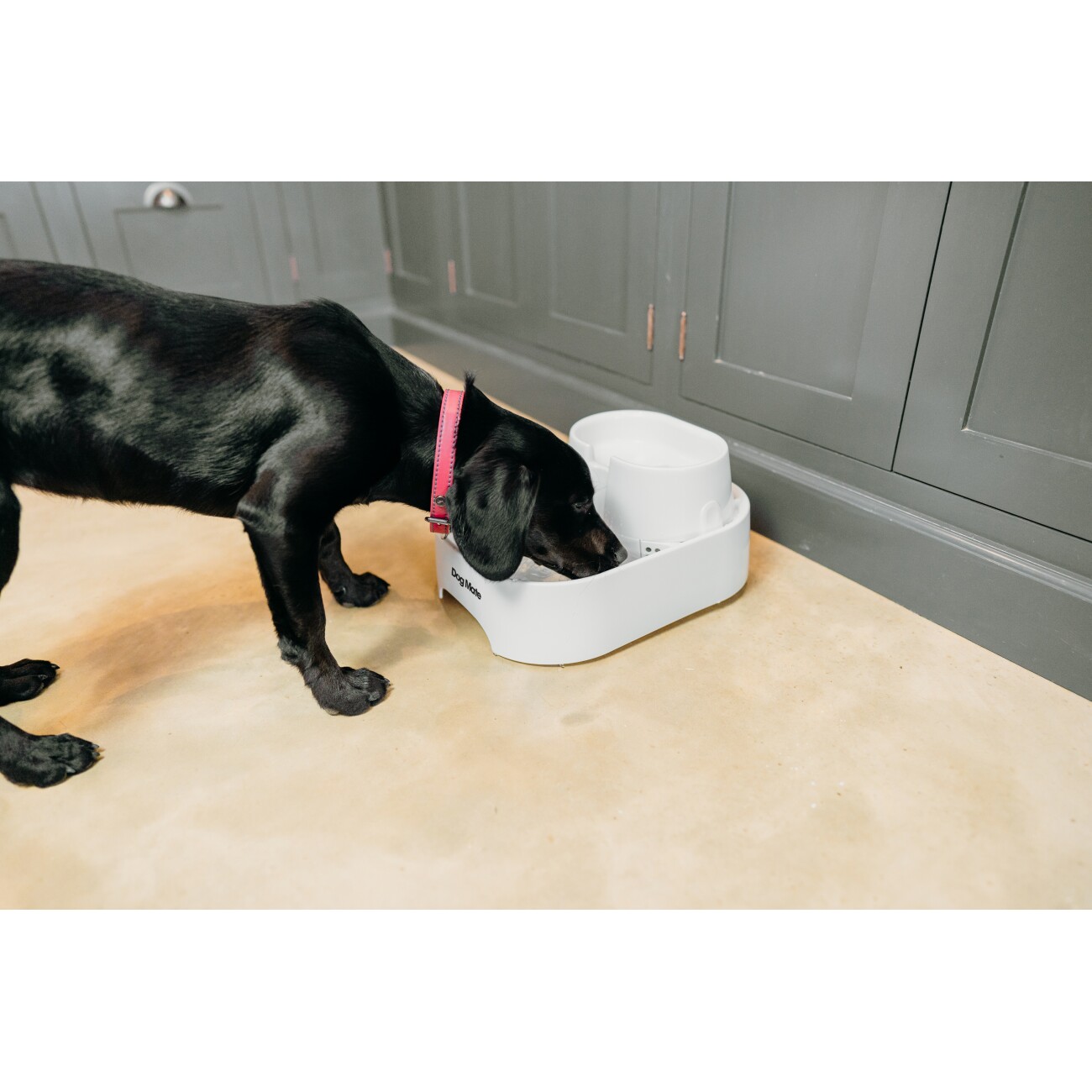 Dog Mate Großer zweistufiger Trinkbrunnen für Haustiere, sechs Liter, Weiß (385E)