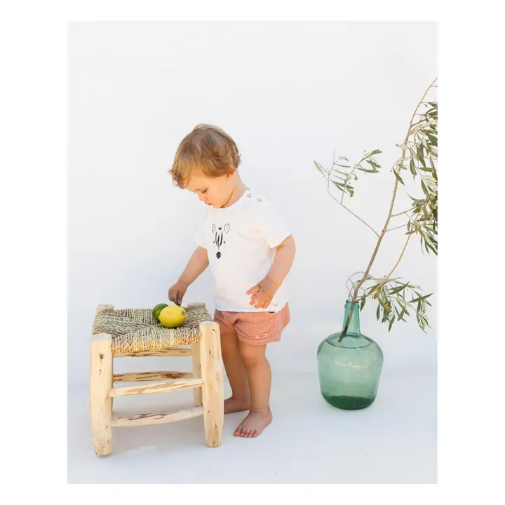 Búho T-shirt Zèbre Coton Flammé | Blanc