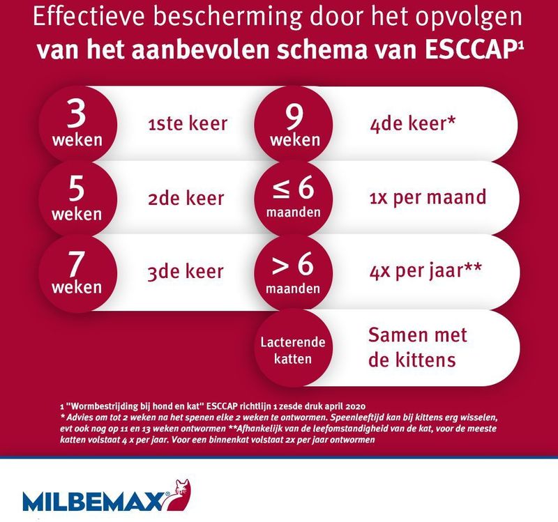 2 Tabletten Milbemax Ontworming voor Katten - BE