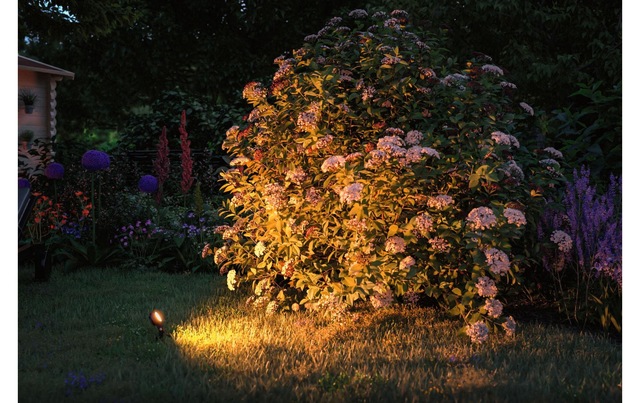 Paulmann Gartenleuchte »Plug & Shine Spot Sting« Warmweiss