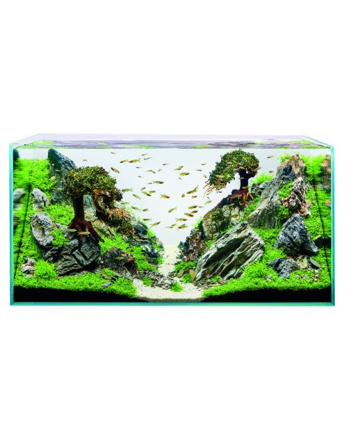 Oase Scaperline 100 Aquarium - Aquaria - 100x50x50 cm
