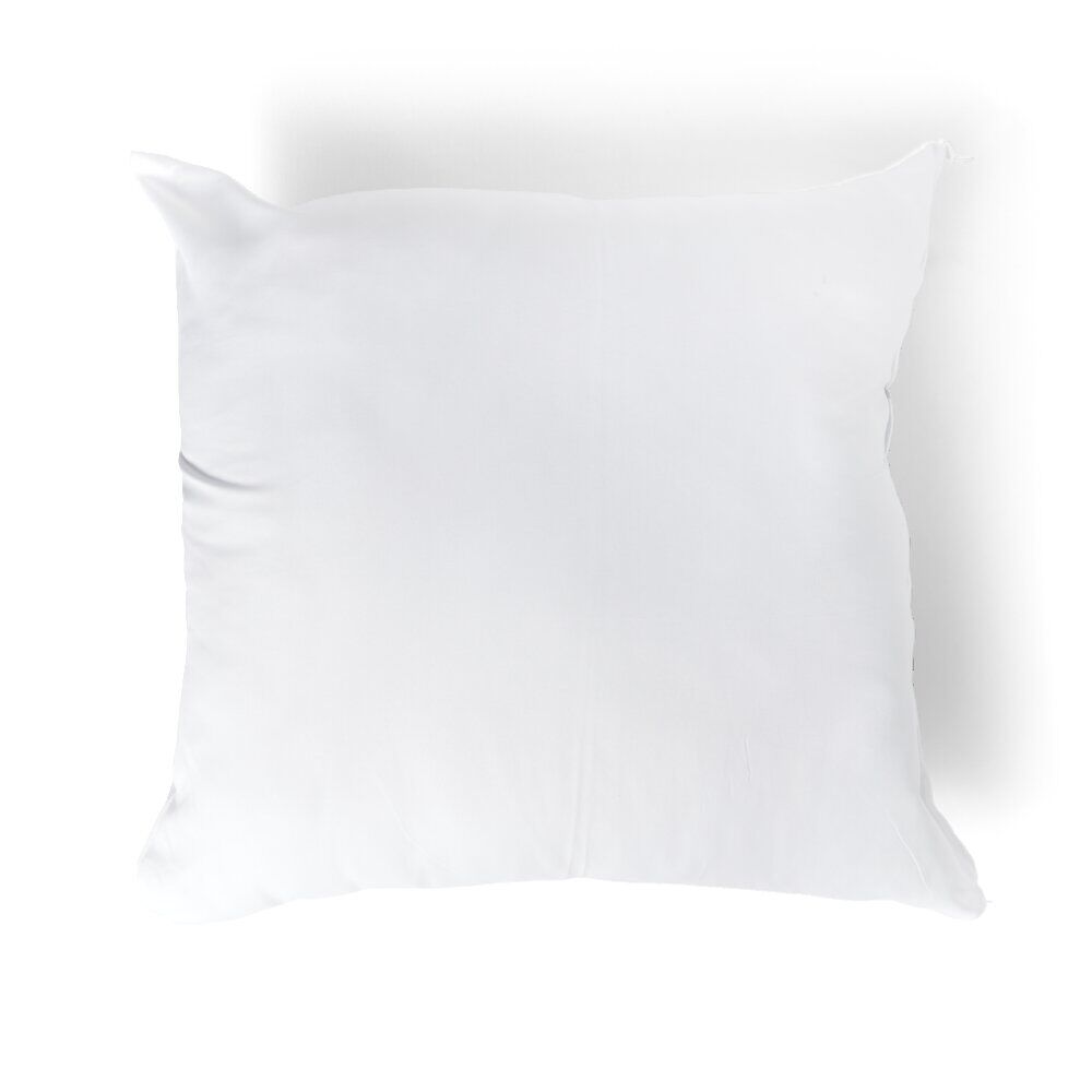 Lot de 2 oreillers à bouillir 60x60cm polyester blanc