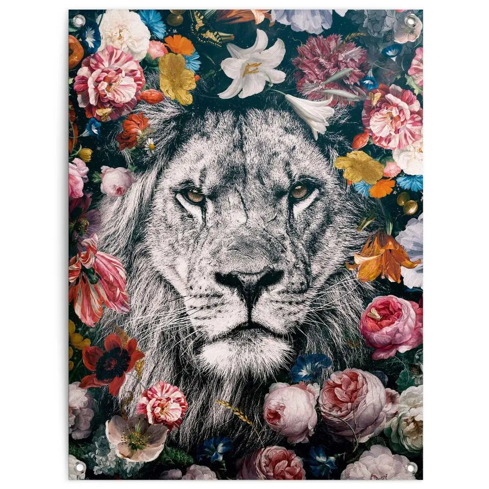 Tuinposter Leeuw - 80x60cm - Bont