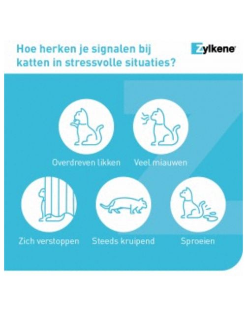 Zylkene Capsule 75 Mg - Anti stressmiddel - 75 g 30 caps Voor Katten En Kleine Honden (< 10 Kg)