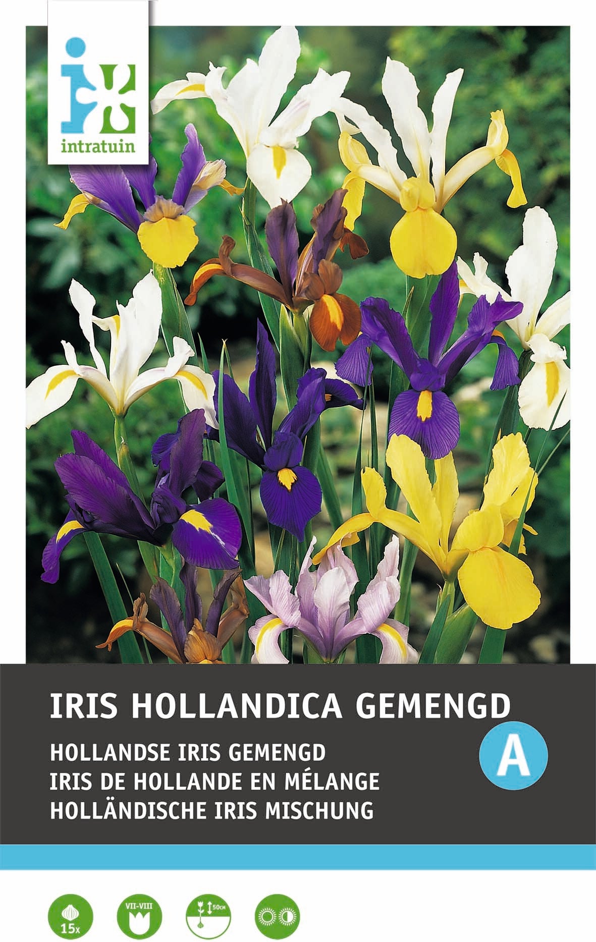 Intratuin bloembollen Iris (Iris hollandica) gemengd 15 stuks