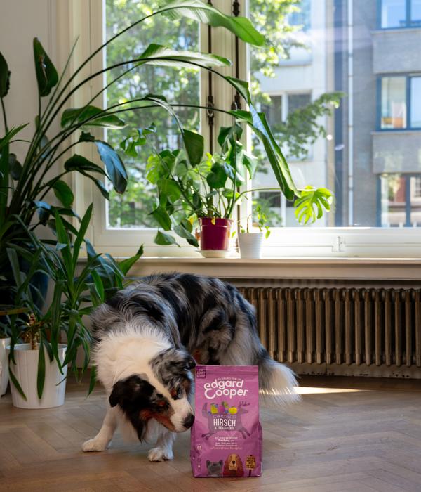 Edgard & Cooper Trockenfutter für Hunde,