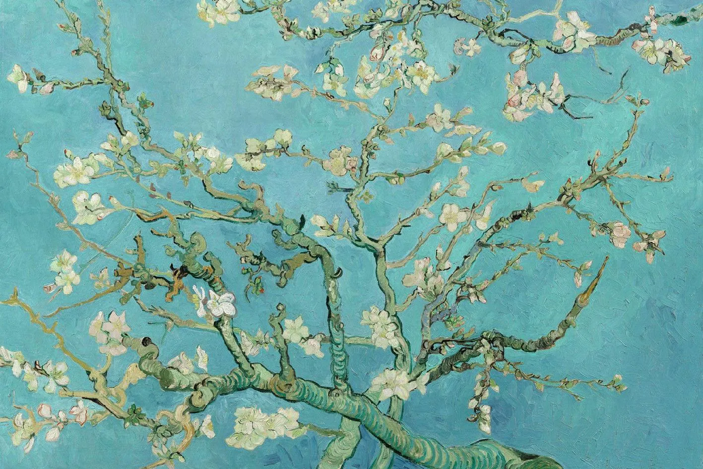 Poster Van Gogh, Amandelbloesem, 61 x 91 cm