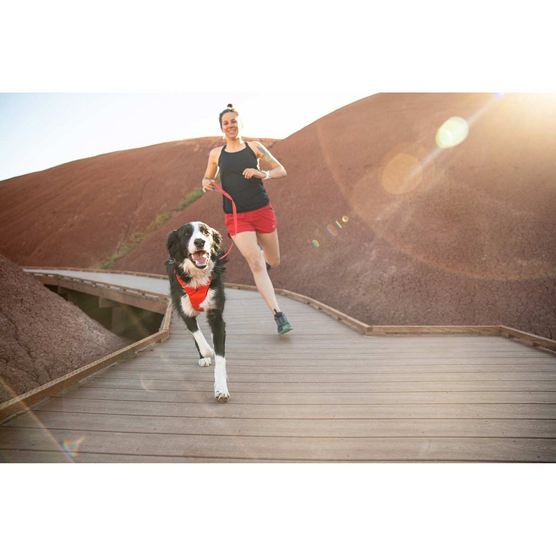 Ruffwear Front Range Harness Hundegeschirr