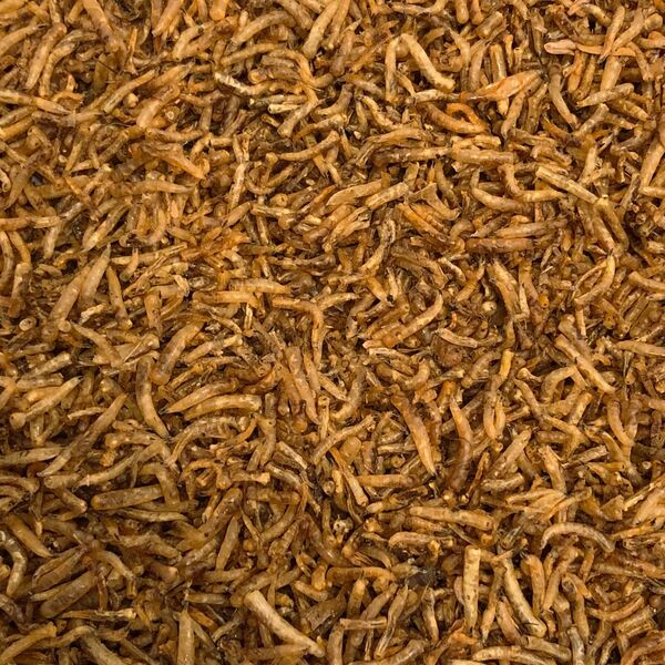 Asticots séchés Vivani - 450g