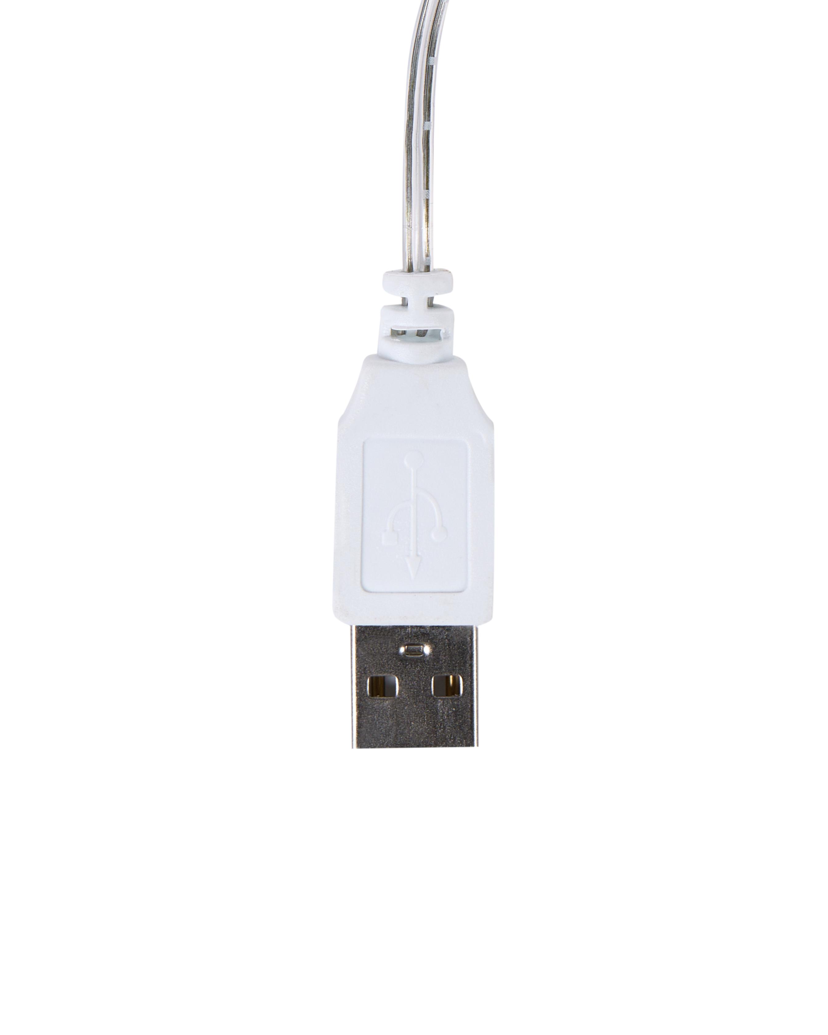 LED decoratie Konijn KINTAUS Meerkleurig