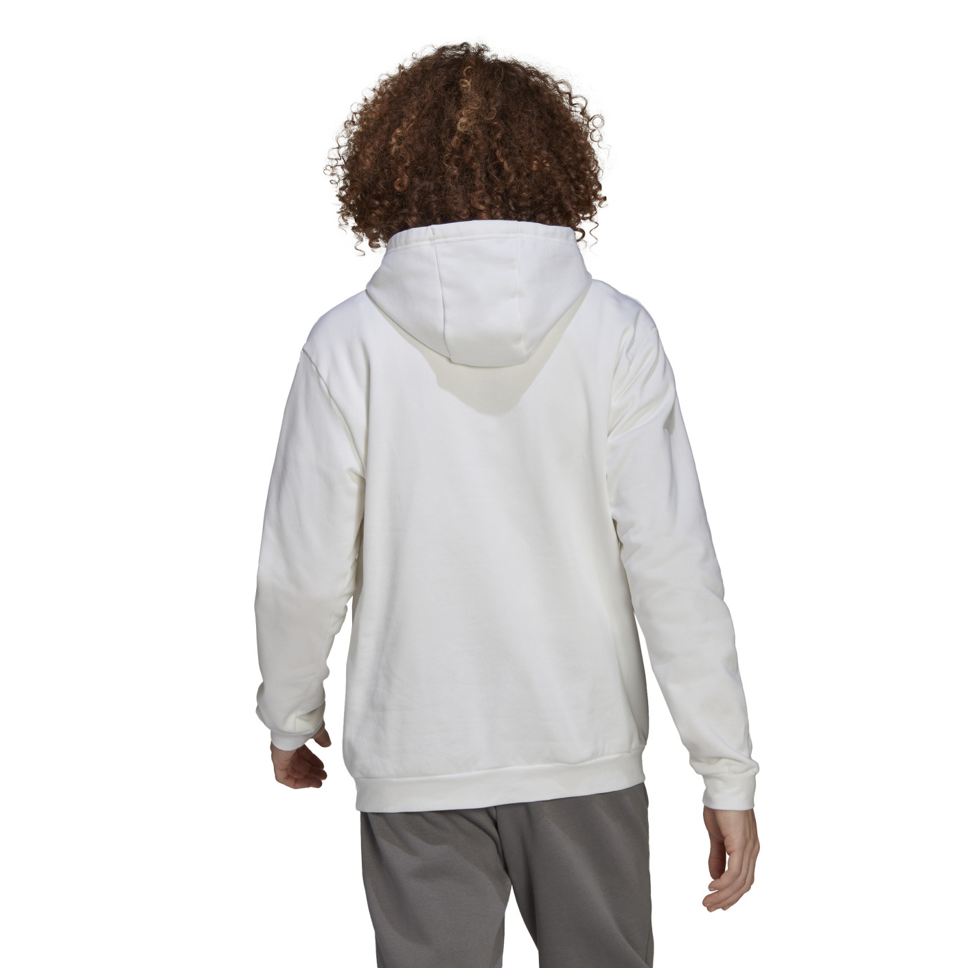 Adidas Entrada 22 Sweat Hoodie Wit Zwart